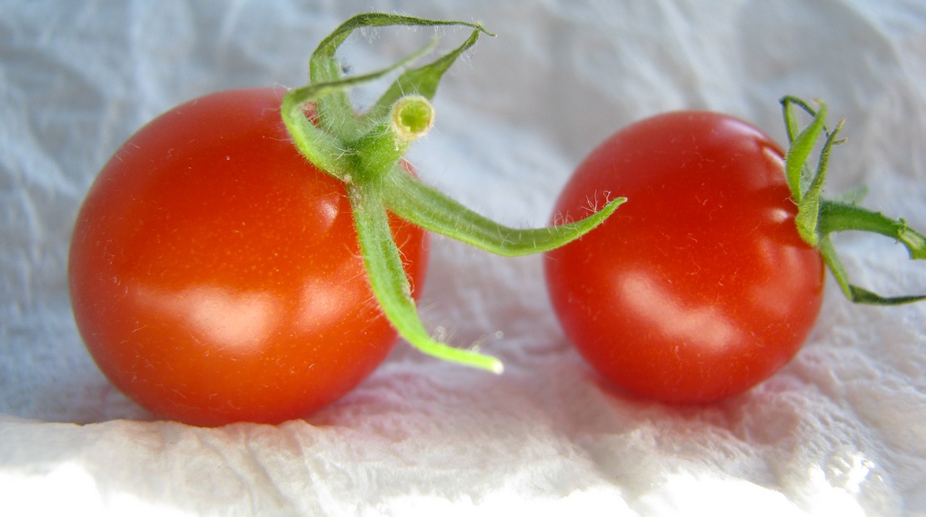 2 tomates cerises
