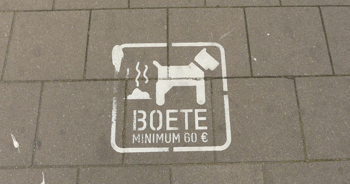 dessin d'un chien faisant caca sur le sol qui avertit que c'est passible d'une amende
