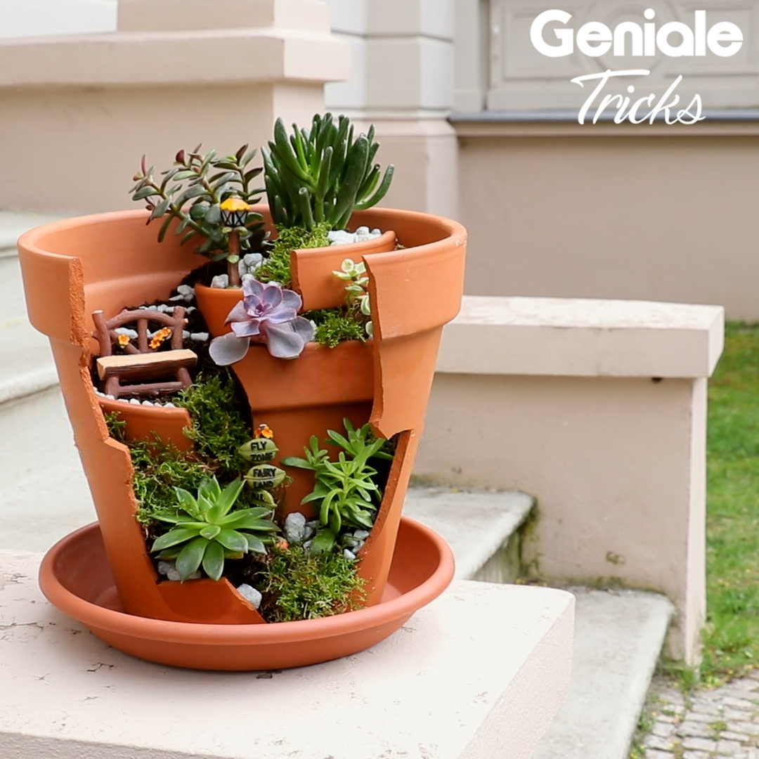 un pot de fleurs cassé est utilisé pour faire une jolie déco de jardin