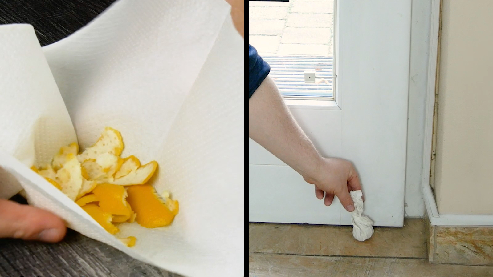 zestes de citron dans une feuille d'essuie-tout derrière les ports et fenêtres pour éloigner les nuisibles