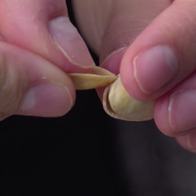 Utiliser la coquille d'une autre pistache pour faire levier