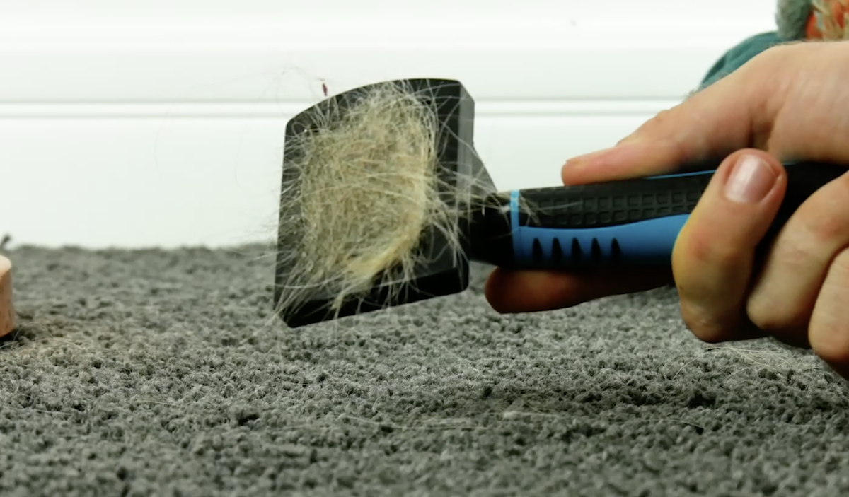 Enlever les poils d'animaux sur le tapis avec une brosse