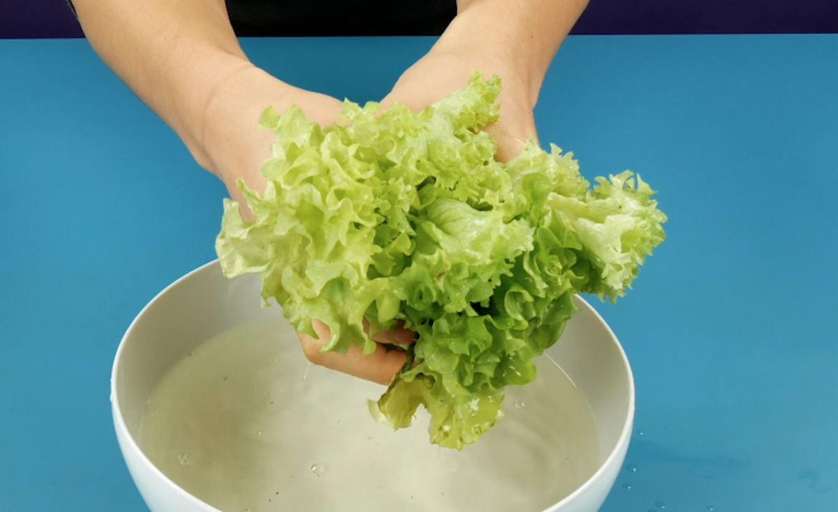 Faire revivre une salade fanée