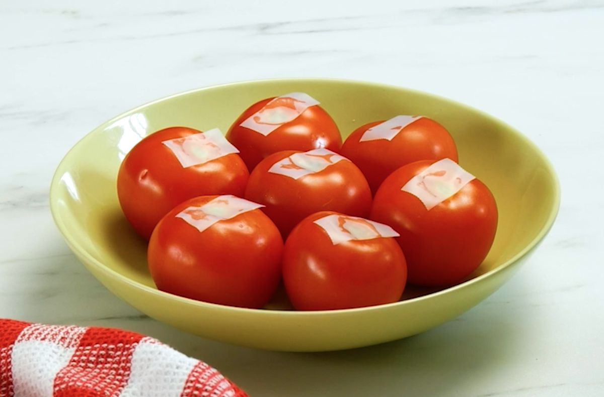conserver les tomates plus longtemps
