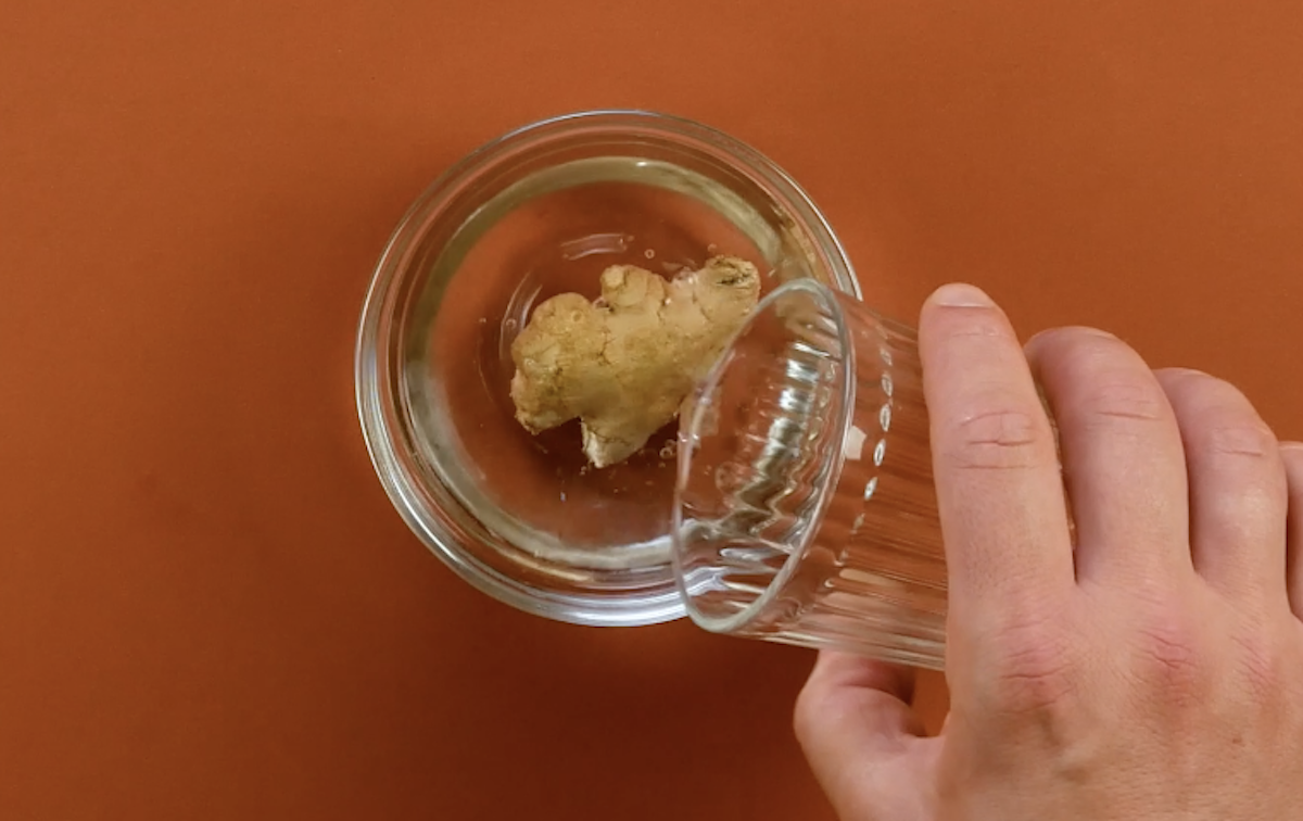 faire tremper le gingembre dans l'eau