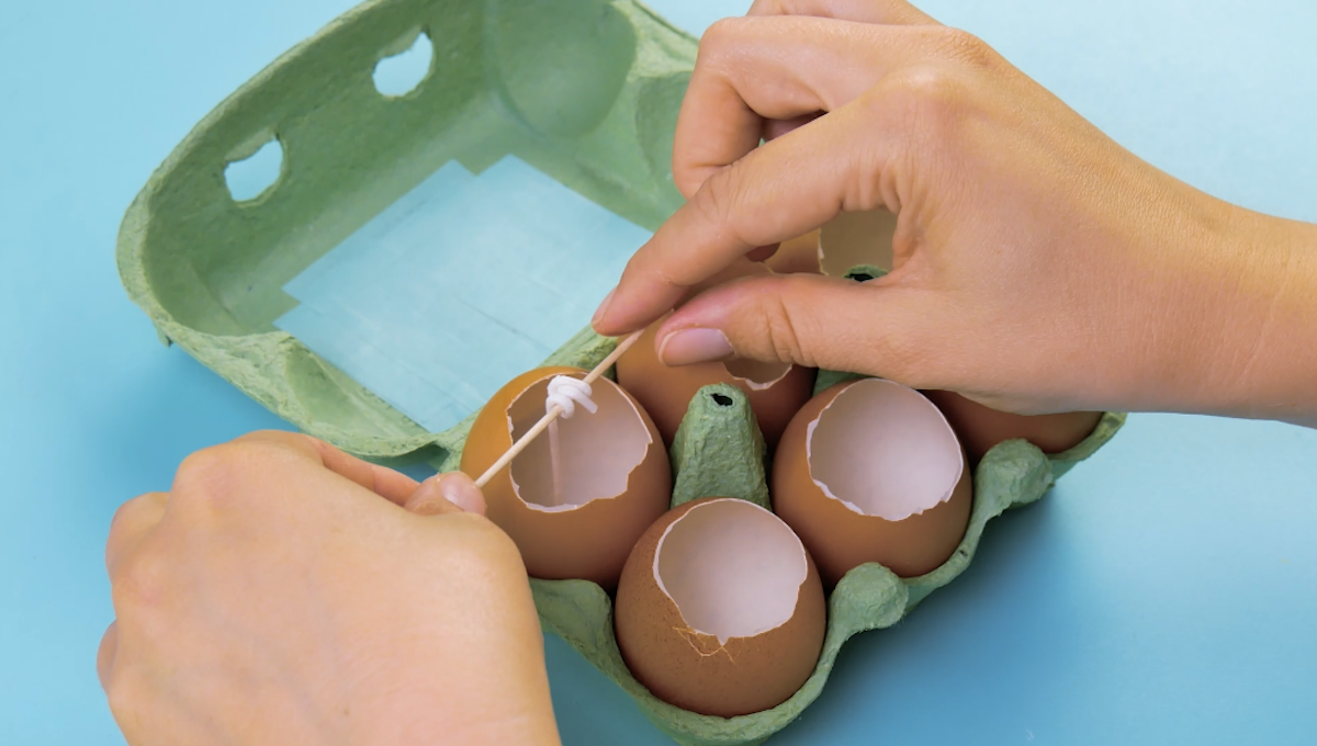 vider et nettoyer les œufs