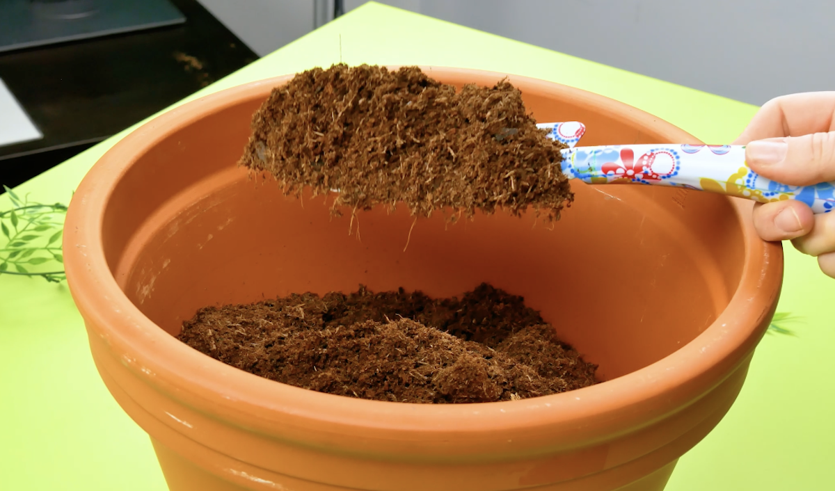 remplier le pot en terre cuite de cailloux et de terre