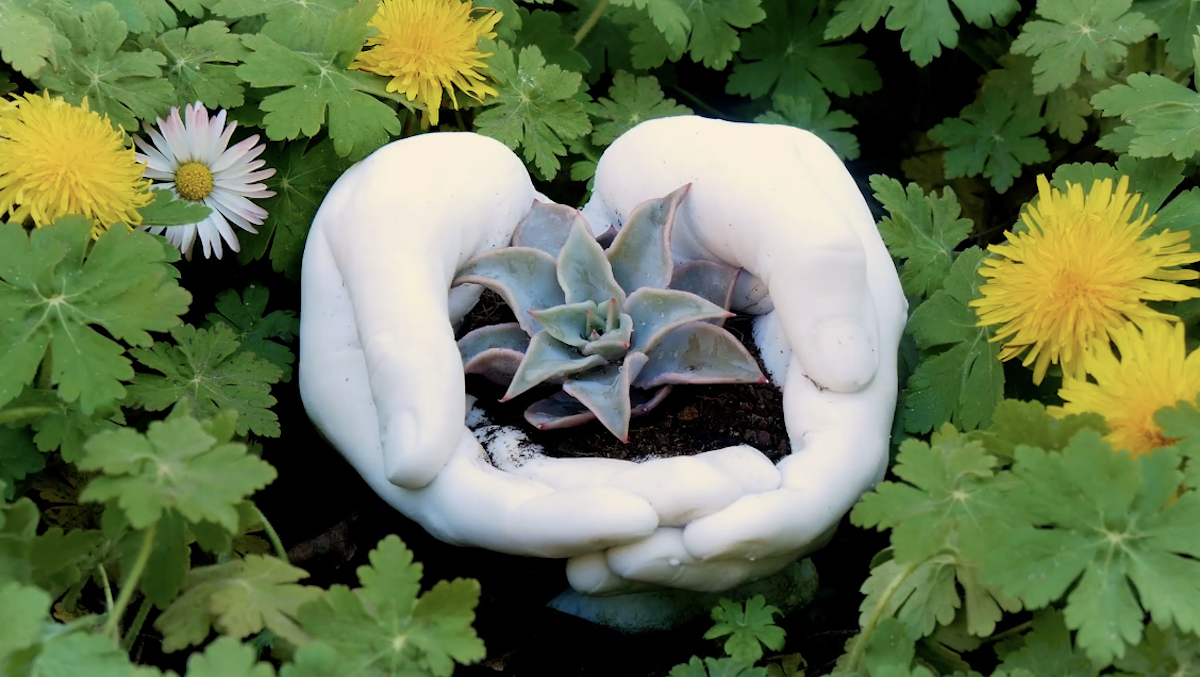 idées de pots de fleurs faits maison avec des plantes succulentes